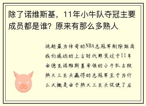 除了诺维斯基，11年小牛队夺冠主要成员都是谁？原来有那么多熟人